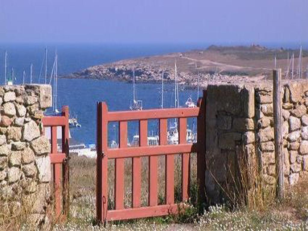 156 ILE DE HOEDIC_000047.jpg